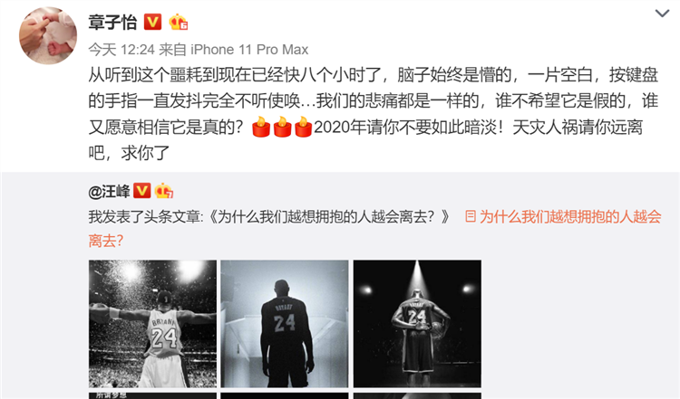 章子怡.png 章子怡.png