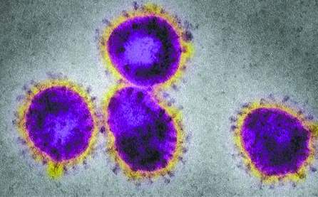 231450300kt2.jpg 231450300kt2.jpg