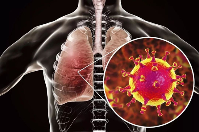 nei  201155807_副本.jpg