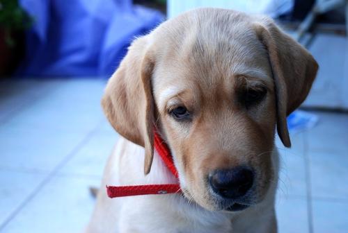 u=2590039009,3903201621&fm=26&gp=0.jpg u=2590039009,3903201621&fm=26&gp=0.jpg