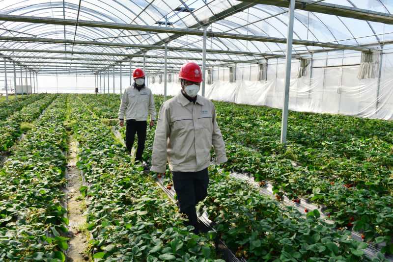 290016604.jpg 290016604.jpg