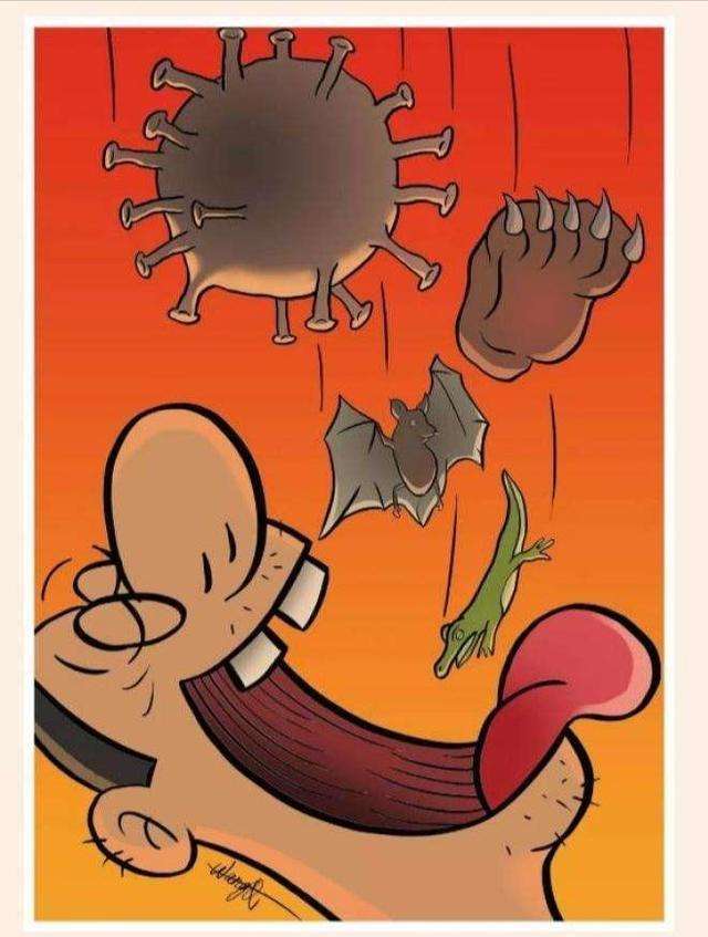 timg-3.jpeg timg-3.jpeg