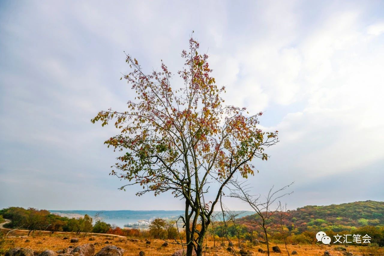 韩锤2.jpg 韩锤2.jpg