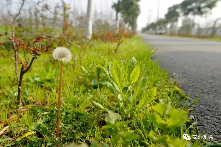 吴老师.jpg 吴老师.jpg