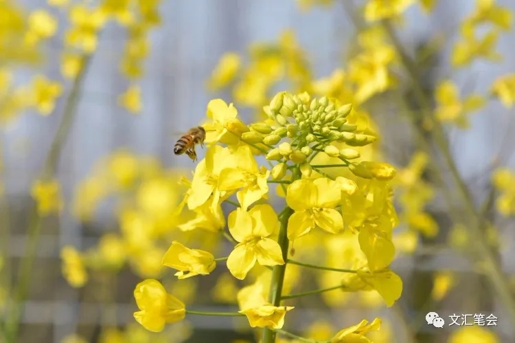 未命名_副本.jpg 未命名_副本.jpg
