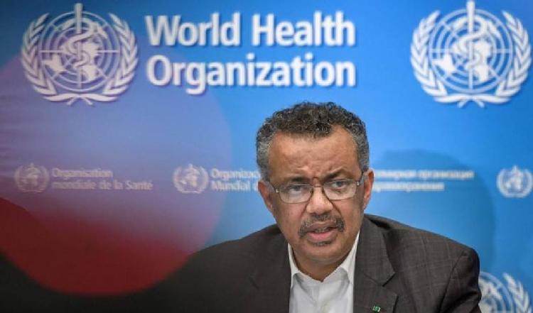 22092648av50_cut.jpg 22092648av50_cut.jpg