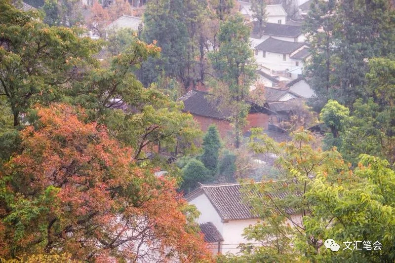 梨园村1.jpg 梨园村1.jpg