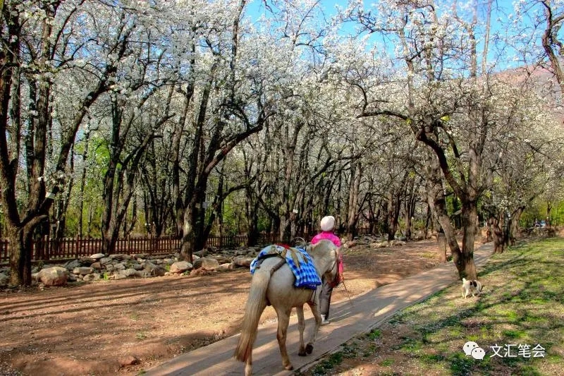 梨园村3.jpg 梨园村3.jpg