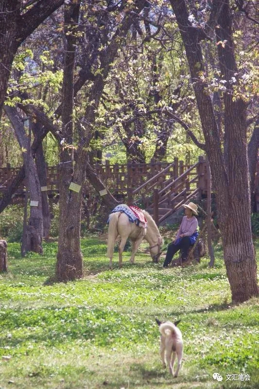梨园村4.jpg 梨园村4.jpg