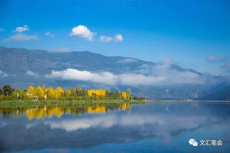 梨园村5.jpg 梨园村5.jpg