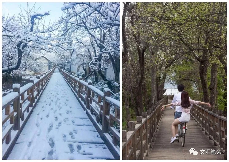 梨园村6.jpg 梨园村6.jpg