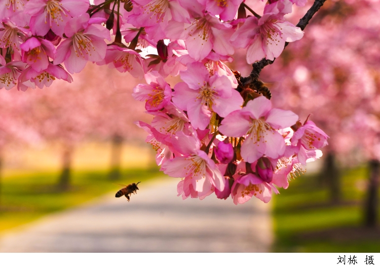 748545_w750.jpg 748545_w750.jpg