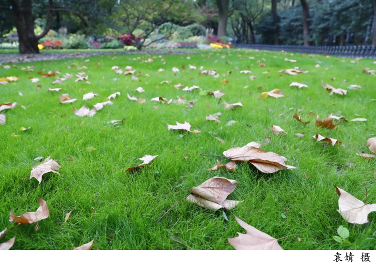 646803_w750.jpg 646803_w750.jpg