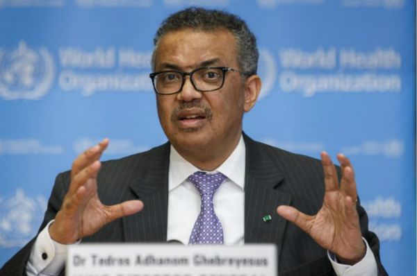 timg (8).jpg timg (8).jpg