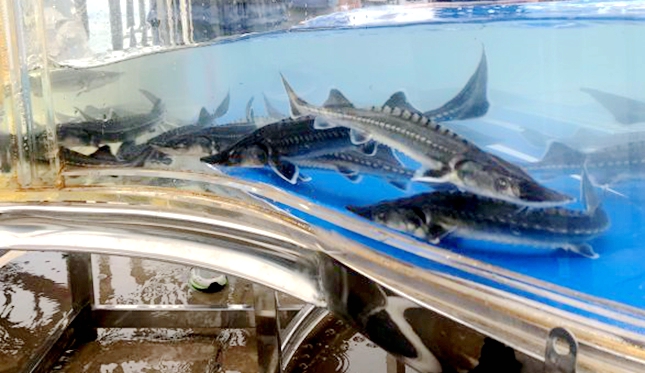 2020042211174890522.jpg 2020042211174890522.jpg