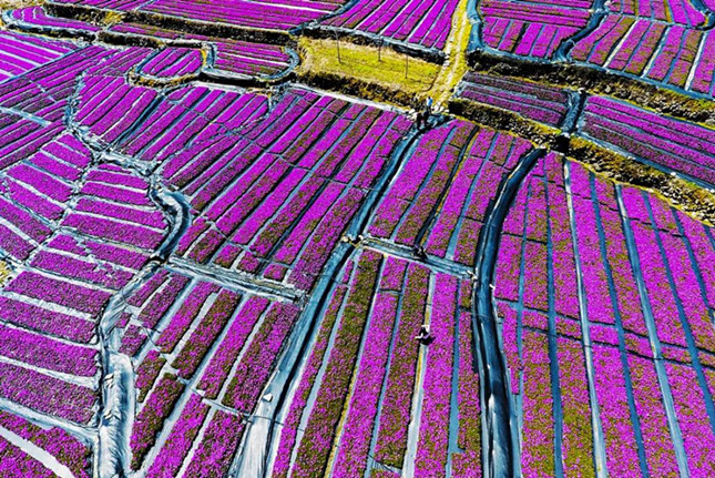 nei 0422161647_副本.jpg nei 0422161647_副本.jpg