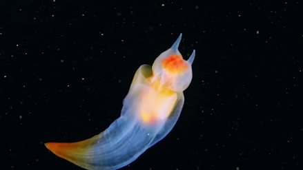 微信图片_20200427111454.png 微信图片_20200427111454.png