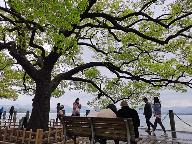 内f3c08f017479d2104_副本.jpg 内f3c08f017479d2104_副本.jpg