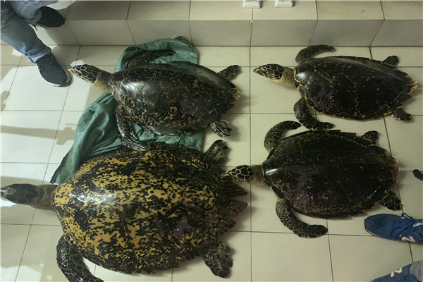 微信图片_20200330105212_副本.jpg 微信图片_20200330105212_副本.jpg