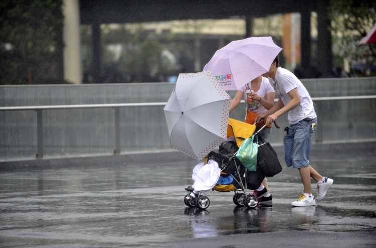 471321_w750.jpg 471321_w750.jpg