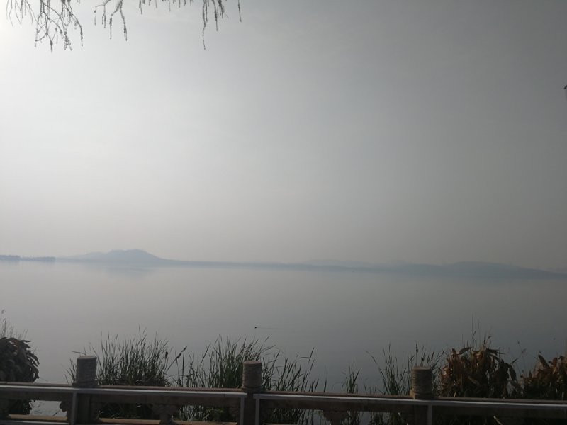 舒飞廉—东湖.jpg 舒飞廉—东湖.jpg