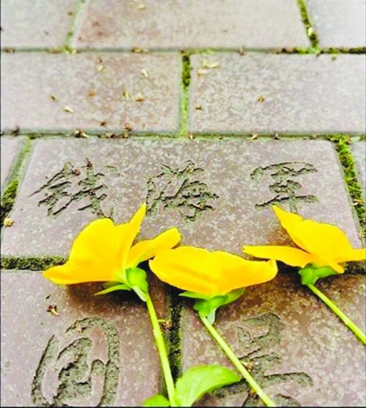 40515_p26.jpg 40515_p26.jpg