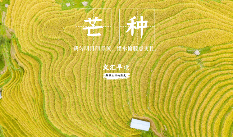早读封面-二十四节气 (1).png 早读封面-二十四节气 (1).png