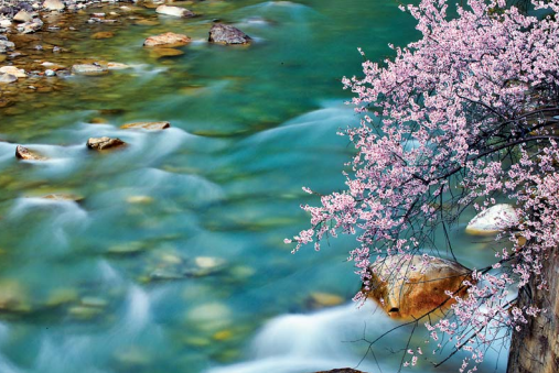 1126076121_15913220220941n.png 1126076121_15913220220941n.png