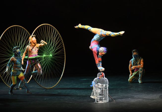 588234996.jpg 588234996.jpg