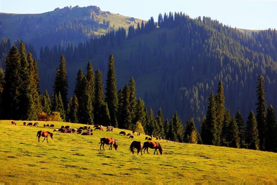 timg (4).jpg timg (4).jpg