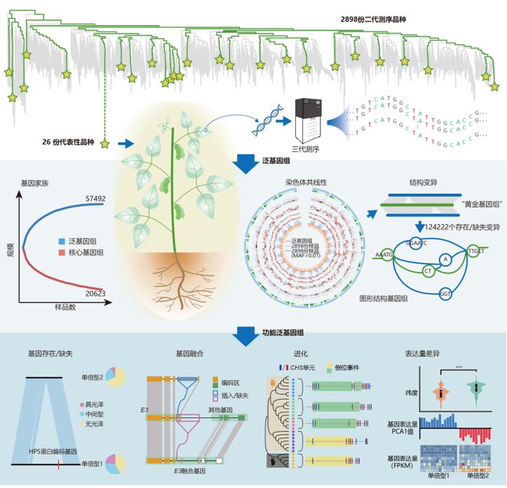 15_副本.jpg 15_副本.jpg