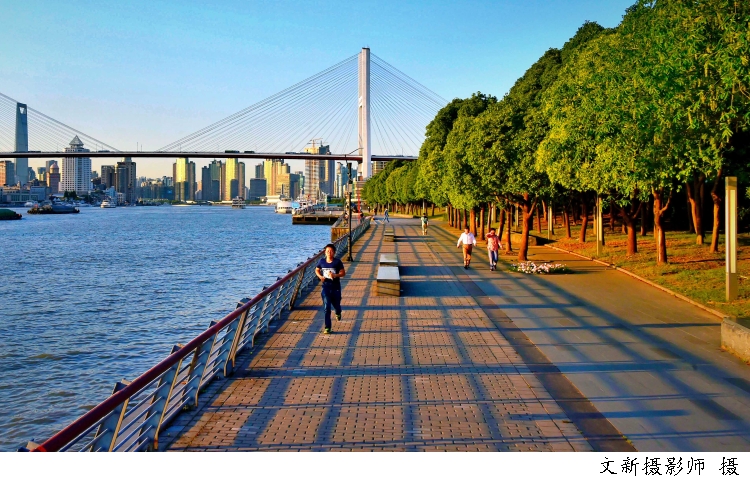 533700_w750.jpg 533700_w750.jpg