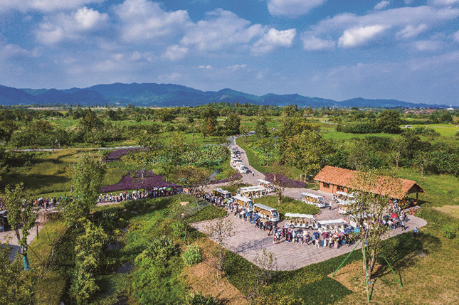 内0d332b0853178b3f_副本.jpg 内0d332b0853178b3f_副本.jpg