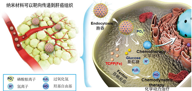 内 47d5313b56ad24e81_副本.jpg 内 47d5313b56ad24e81_副本.jpg