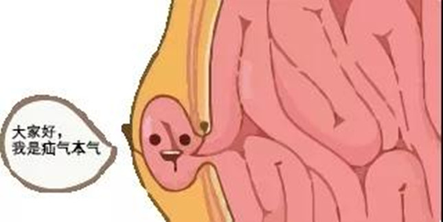 nei 714142146_副本.jpg nei 714142146_副本.jpg