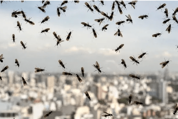 微信截图_20200720133117.png 微信截图_20200720133117.png