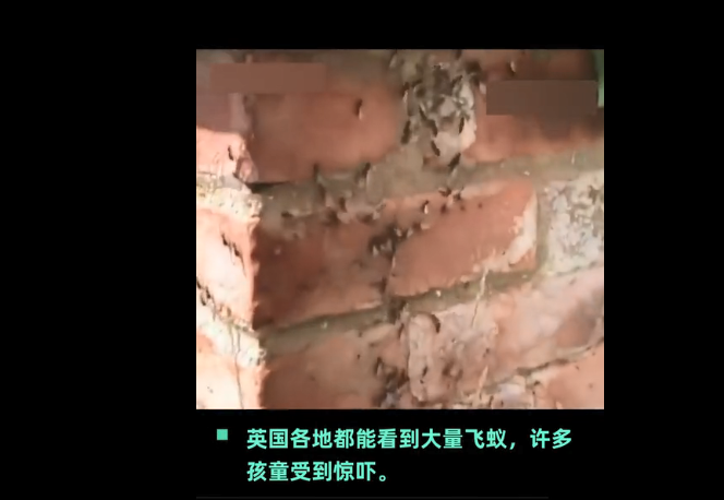 微信截图_20200720133038.png 微信截图_20200720133038.png