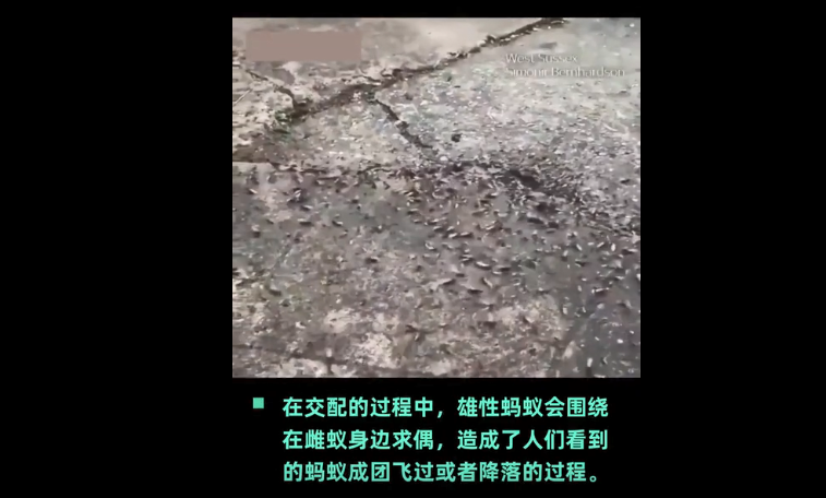 微信截图_20200720133052.png 微信截图_20200720133052.png