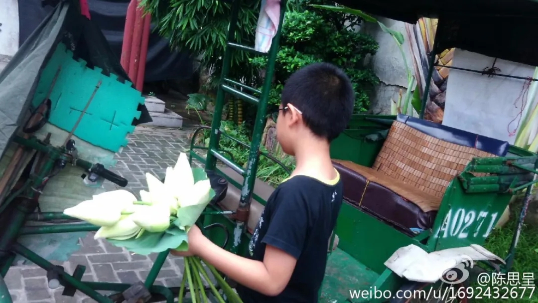 荷花4.jpg 荷花4.jpg