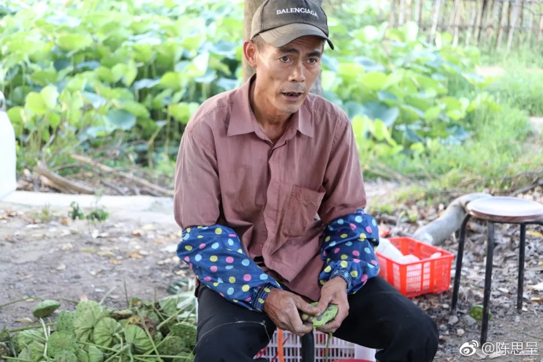 荷花5.jpg 荷花5.jpg