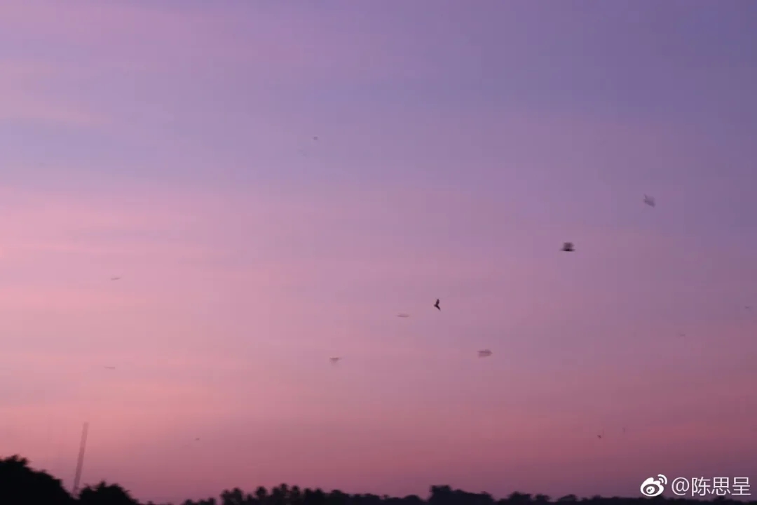 荷花7.jpg 荷花7.jpg