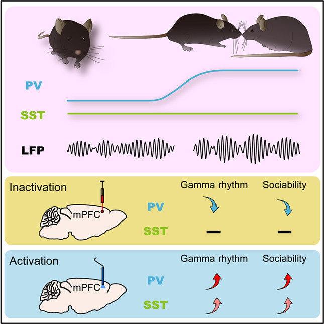 内0ee78cc9173d1a5473_副本.jpg 内0ee78cc9173d1a5473_副本.jpg