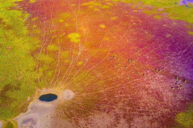 微信图片_20190925075707.jpg 微信图片_20190925075707.jpg