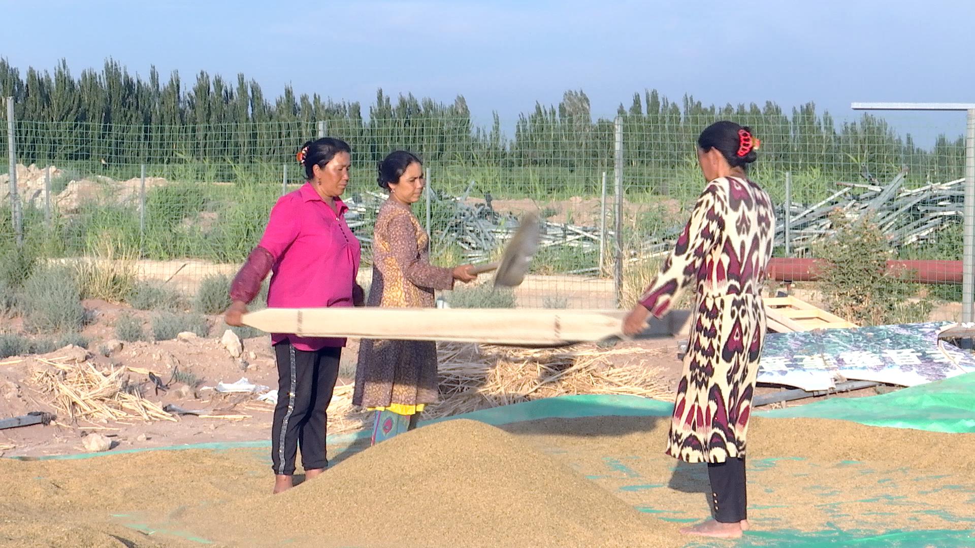 123555414.jpg 123555414.jpg