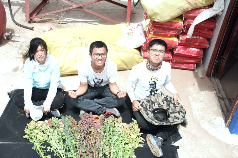 1228609192.jpg 1228609192.jpg