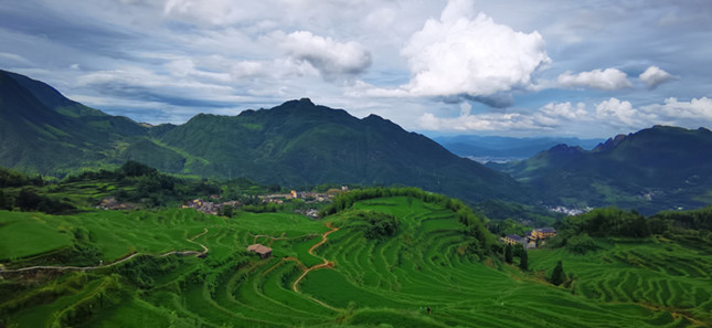 内d013ce62c85_副本.jpg 内d013ce62c85_副本.jpg