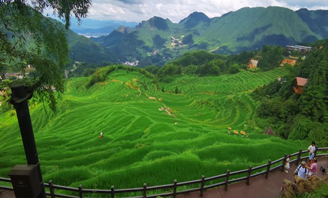 nei 26020df1d00a27c_副本.jpg nei 26020df1d00a27c_副本.jpg