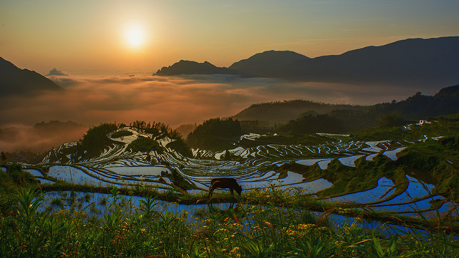 nei 74e8075f0031ce2ca_副本.jpg nei 74e8075f0031ce2ca_副本.jpg