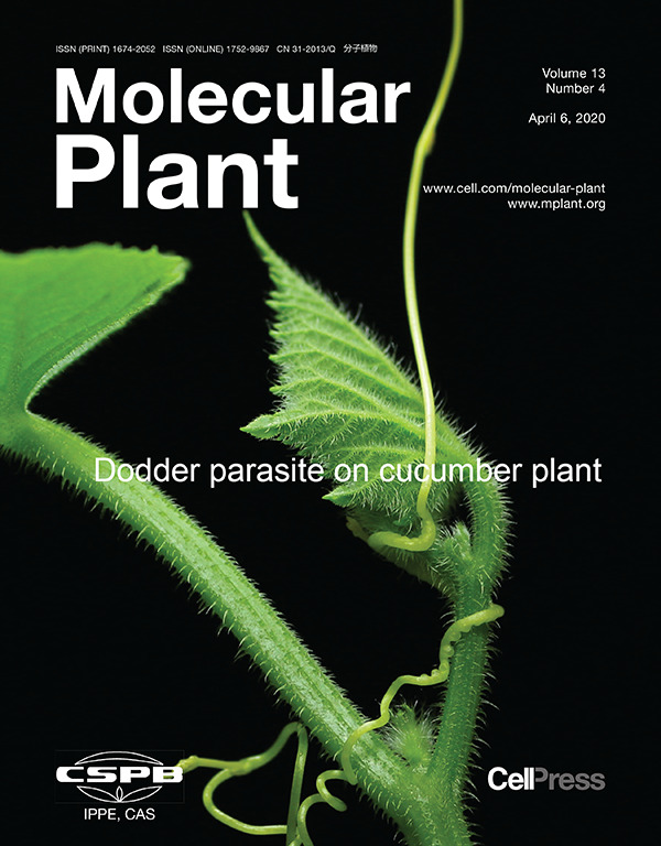 微信图片_20200813214742.png 微信图片_20200813214742.png