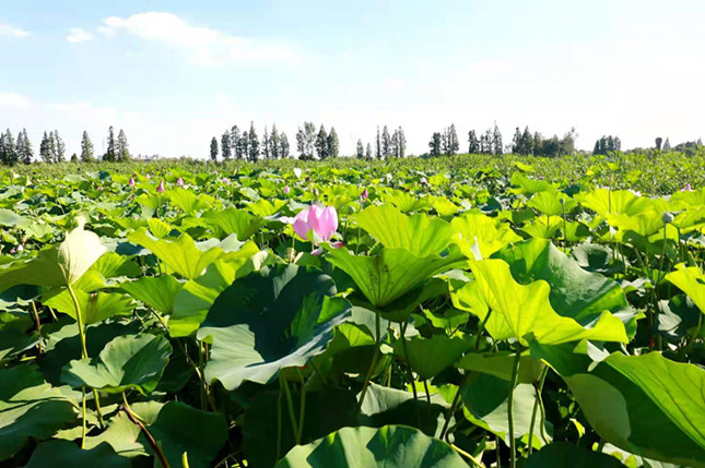 内dbc0cb02021773_副本.jpg 内dbc0cb02021773_副本.jpg